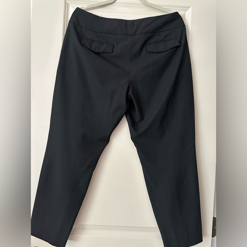 The limited size 10 ankle pants
